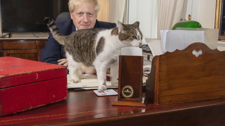 Katten Larry på Johnsons skrivebord. Foto
